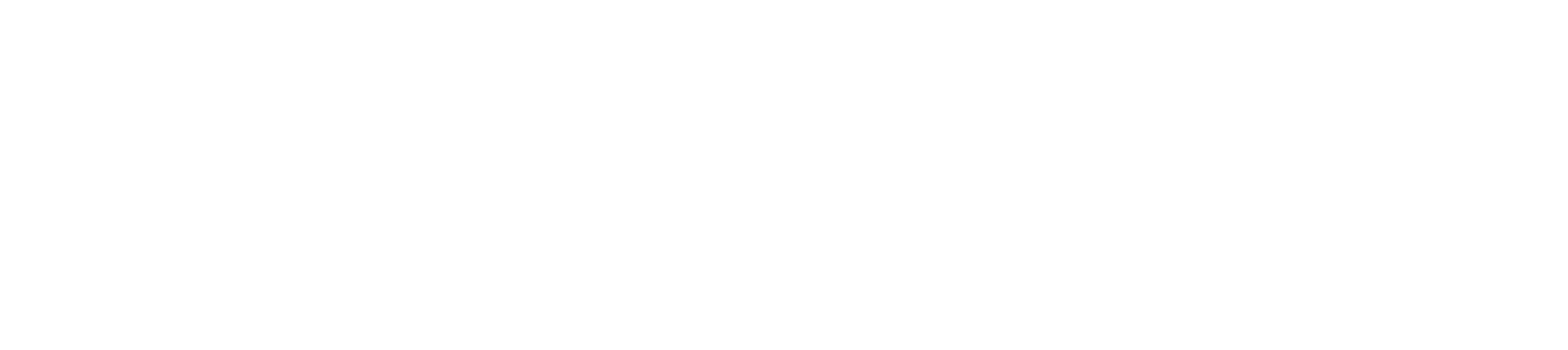 Modish Vision